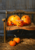 Citrouilles joyeuses et bonbons d'Halloween